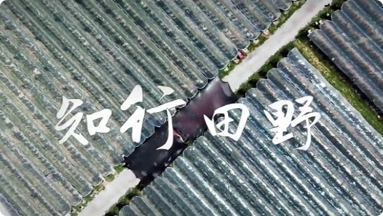知行田野4