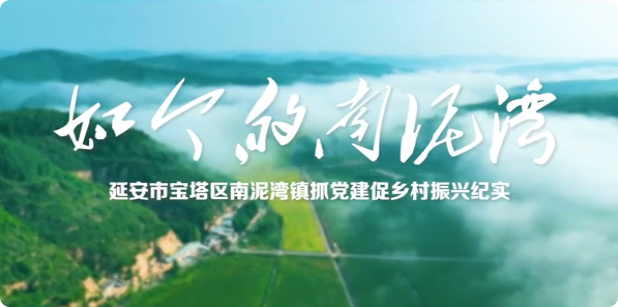 如今的南泥湾6