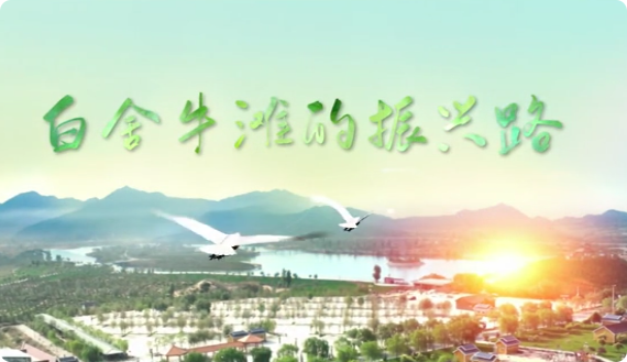 白舍牛滩的振兴路8