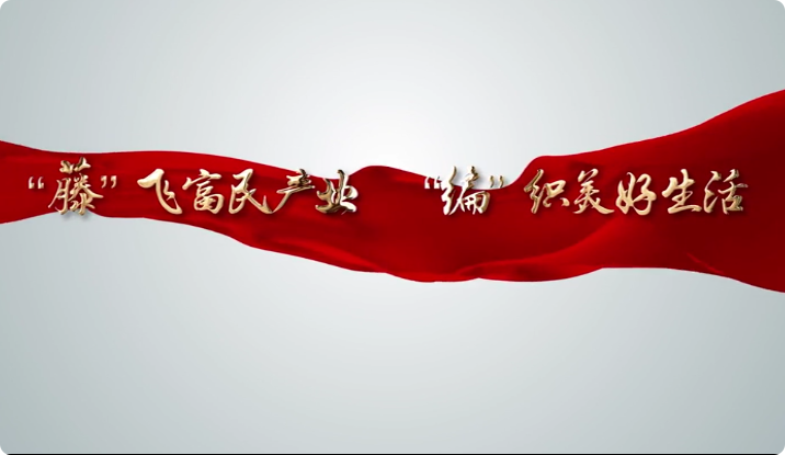 “藤”飞富民产业 “编...17