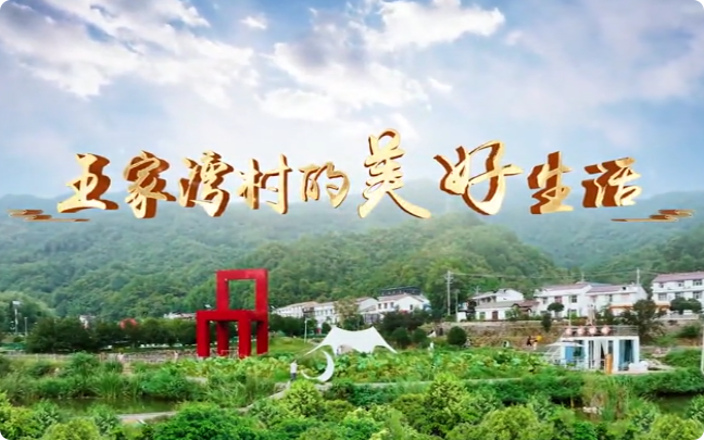王家湾村的美好生活9