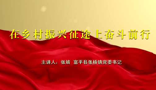 在乡村振兴征途上奋斗前行12