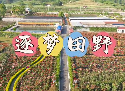 【8090新农人】安康市汉...