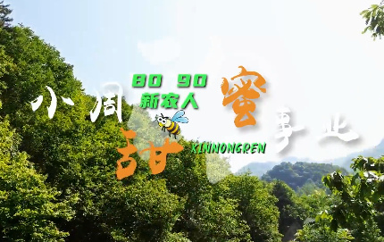 【8090新农人】安康市宁...