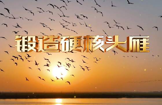 锻造“硬核头雁”