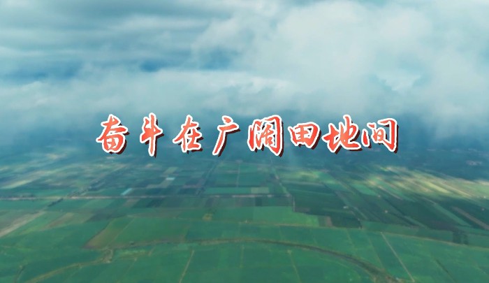 奋斗在广阔田地间