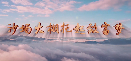 沙场大棚托起致富梦