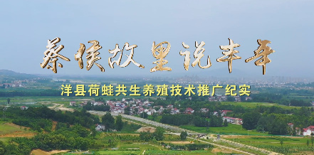 蔡侯故里说丰年