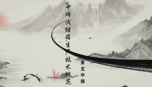 黄龙中蜂浅继箱生产成熟...