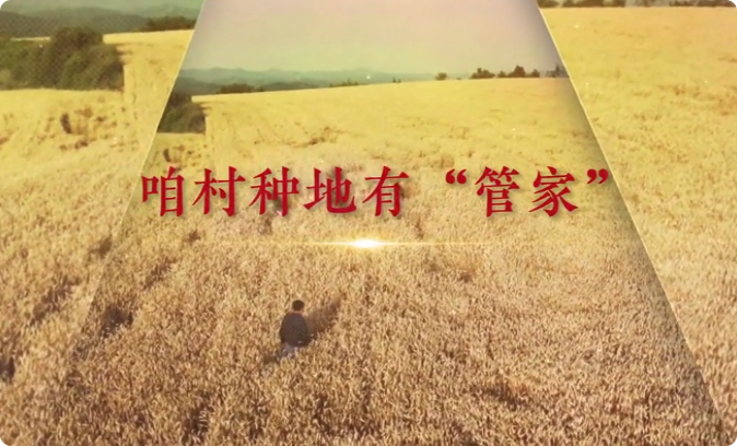 咱村种地有管家